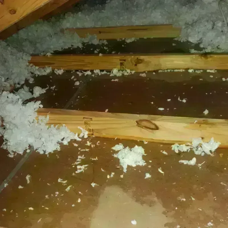 Attic Water Damage in Celada, PR